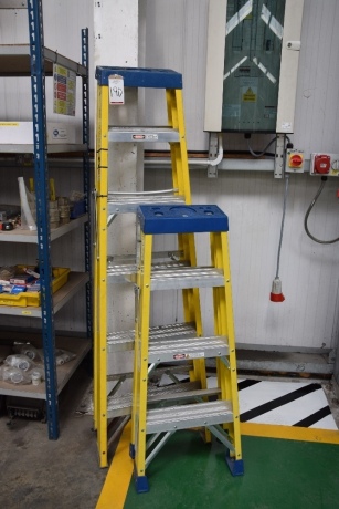 Engex 5 rise electricians stepladder and a 3 rise similar (Packing)