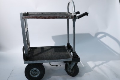 Magliner, Magliner Video Trolley (Custom shortened Junior Magliner), 2010 - 2