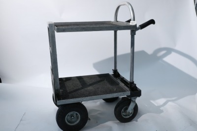 Magliner, Magliner Video Trolley (Custom shortened Junior Magliner), 2010 - 2