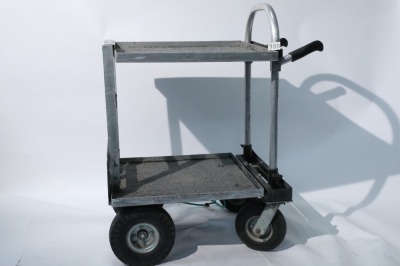 Magliner, Magliner Video Trolley (Custom shortened Junior Magliner), 2010 - 2