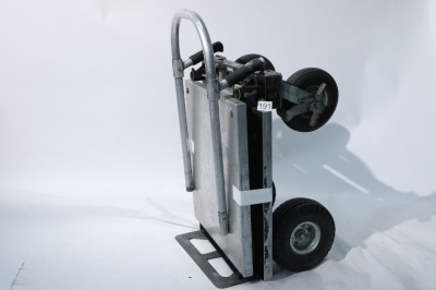 Magliner, Magliner Video Trolley (Custom shortened Junior Magliner), 2010