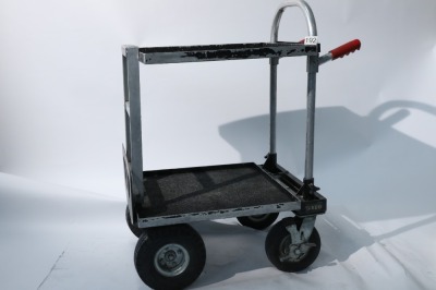 Magliner, Magliner Video Trolley (Custom shortened Junior Magliner), 2010 - 2